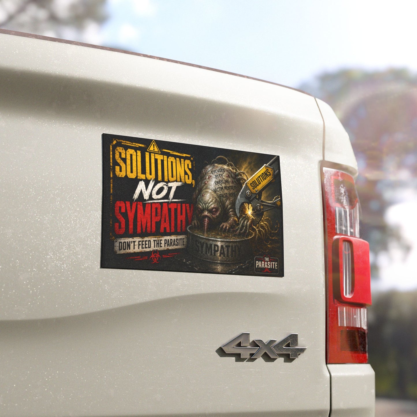 Solutions, Not Sympathy Magnet™