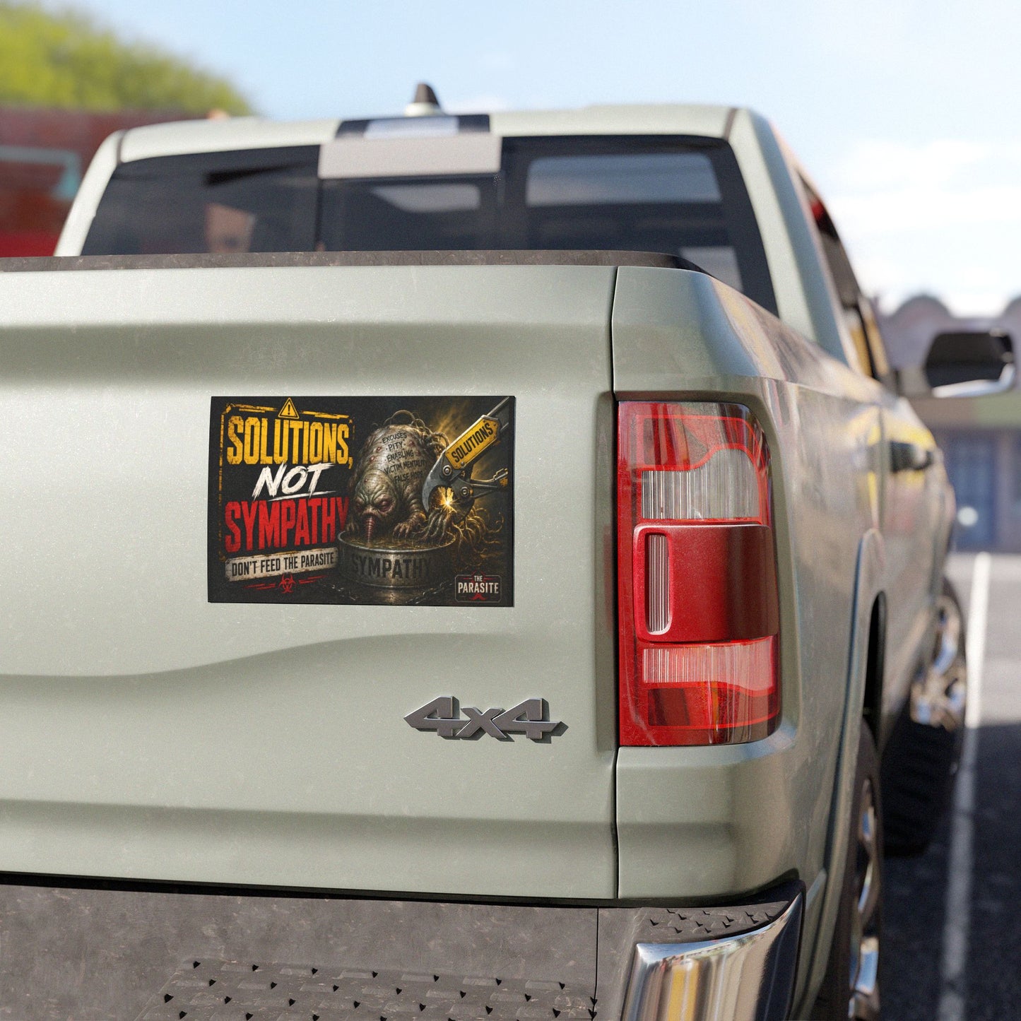 Solutions, Not Sympathy Magnet™