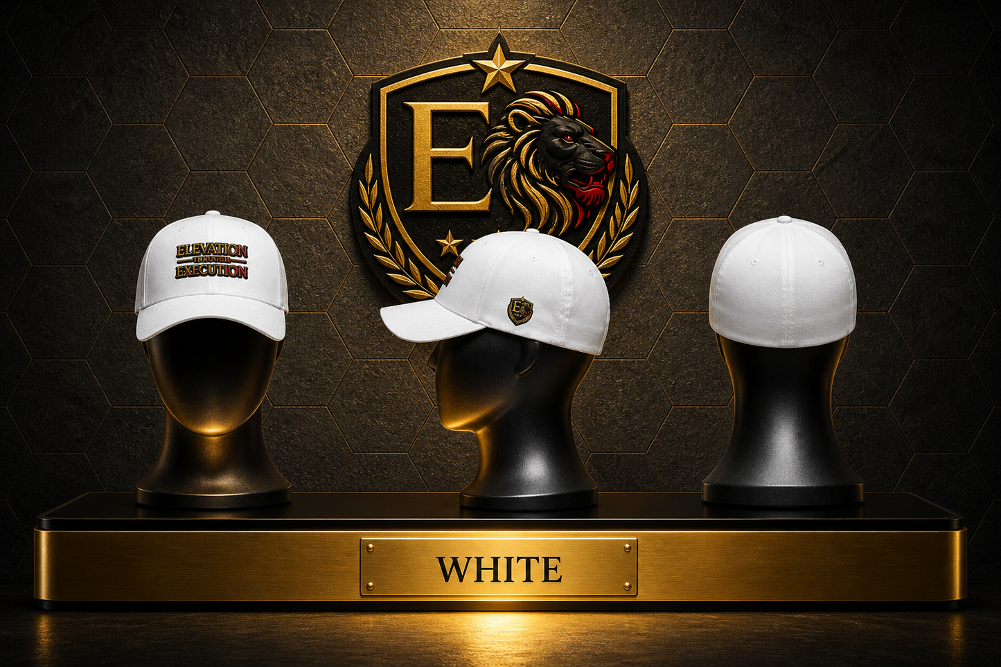 Elevation Through Execution™ Authority Cap — Execution Issue