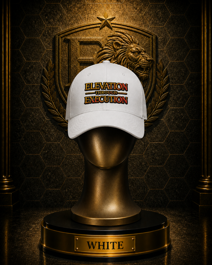 Elevation Through Execution™ Authority Cap — Execution Issue